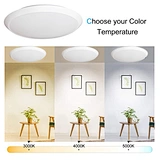 flush mount ceiling light
