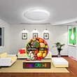 flush mount ceiling light